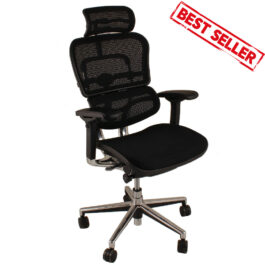 .Ergo Human Chair with head rest