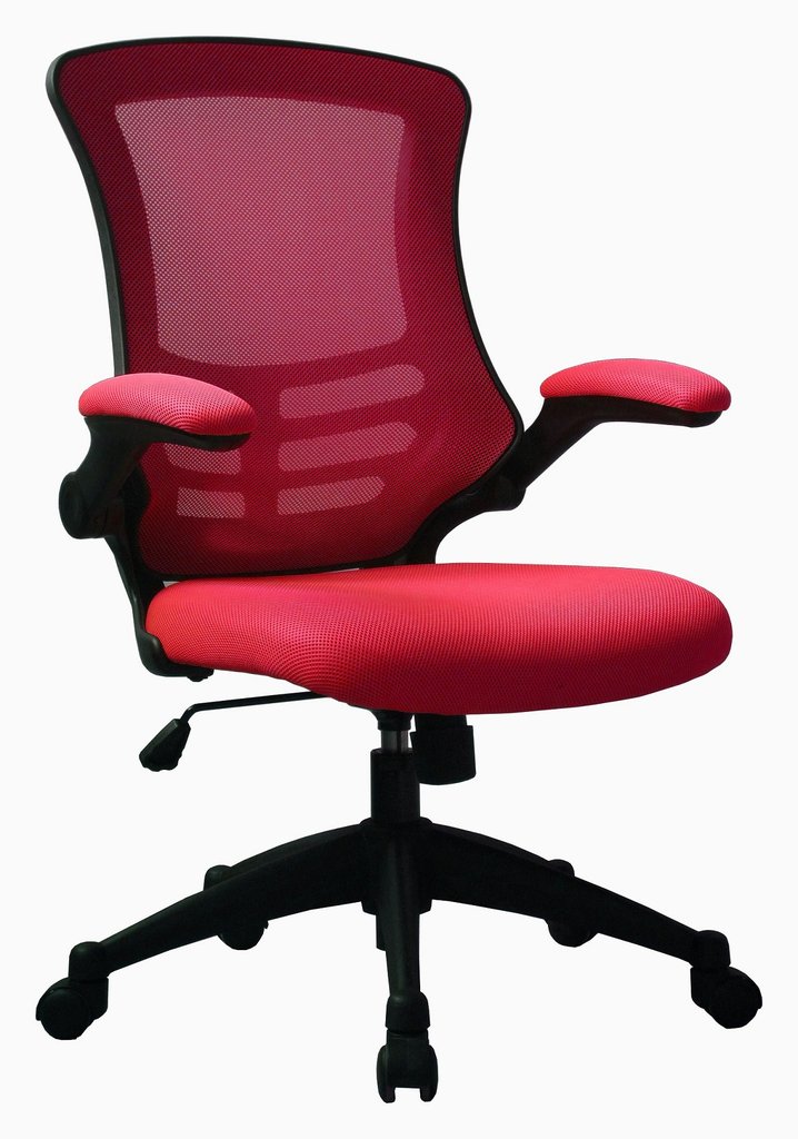 Luna Ergonomic Mesh Chair
