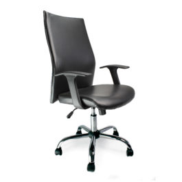 Tor (Black) Leather Executive Office Armchair