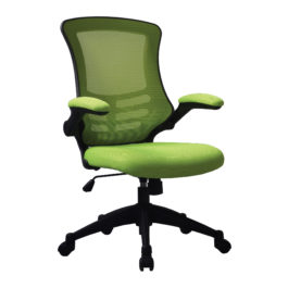 Luna (Green) Mesh Chair With Folding Arms
