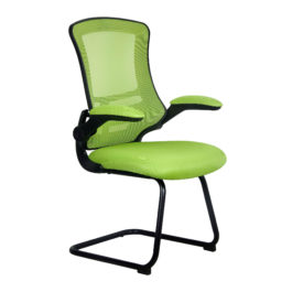 Luna (Green) Black Frame Mesh Cantilever Chair