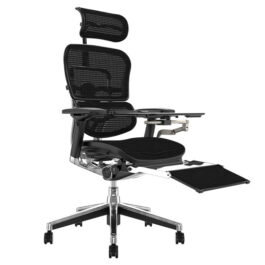 .Ergo Human Plus Luxury Mesh Chair With Notebook Stand